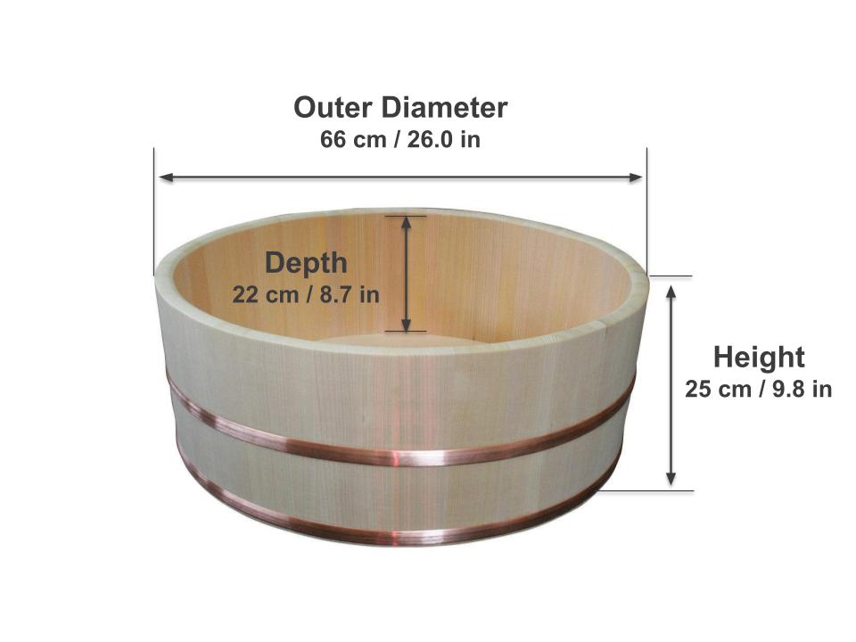 TR66S dimensions